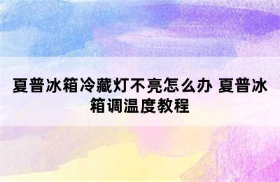 夏普冰箱冷藏灯不亮怎么办 夏普冰箱调温度教程